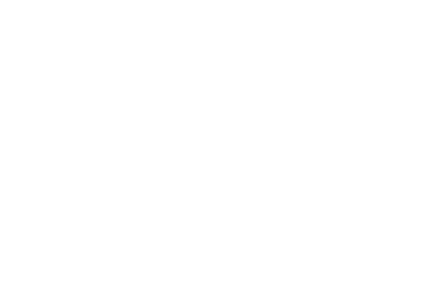 2匹の狐の画像